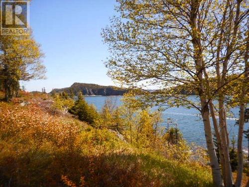 6 Parsonage Road, Beachside, NL 