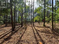 PT LT 11 CON 7 RANCHERS ROAD Kawartha Lakes (Fenelon), ON K0M 1G0