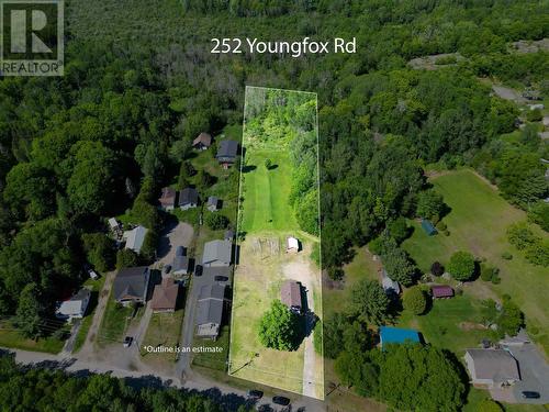 252 Youngfox Rd, Blind River, ON 