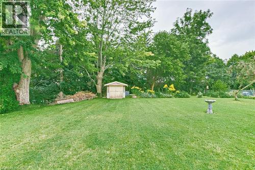 Yard 2 - 33 Tyrell Street, Simcoe, ON - Outdoor