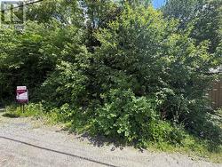 56 THOMAS STREET N Arnprior, ON K7S 1J3