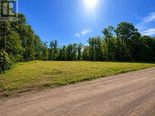 1293 David Fife Line, Otonabee-South Monaghan, ON 