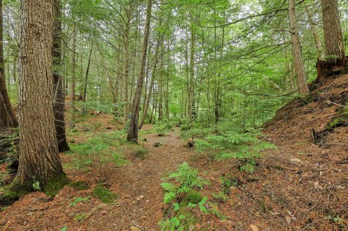 Extérieur - 24  - 26 Ch. Des Écureuils, Ripon, QC 