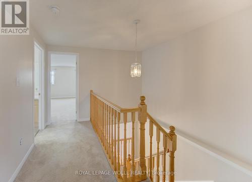15 Cotton Grass Street, Kitchener, ON 