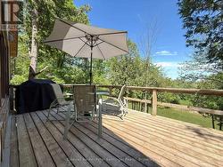 Elevated Back Deck - 