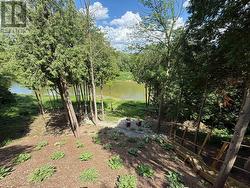 View from the back deck overlooking the river - 