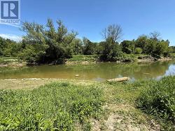 View along the riverside - 