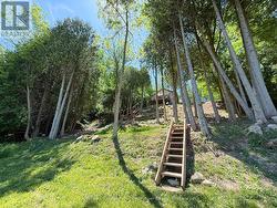 Temporary Staircase leading to the water's edge - 