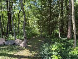 Private nature trails through the bush - 