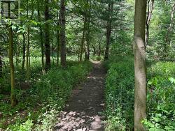 Private nature trails through the bush - 