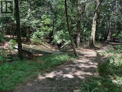 1 of 2 Bridges found along the private trails - 