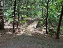 1 of 2 Bridges found along the private trails - 