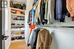 Guest Closet w/ storage - 