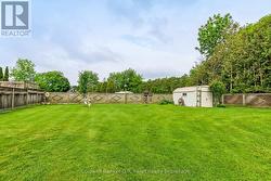 Backyard - 