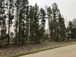 995 S CRANBERRY LAKE ROAD Valemount, BC V0E 2Z0