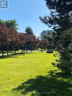 Waterfront Community - grounds & amenities - 