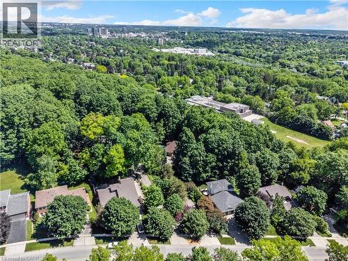 Expansive aerial showcasing a verdant landscape with mature trees and established residential properties - 110 Grand Ridge Drive, Cambridge, ON 