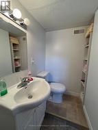 lower level bathroom - 