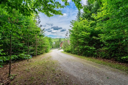 Terre/Terrain - 259 Ch. Du Lac-Des-Cornes, Chute-Saint-Philippe, QC - Outdoor