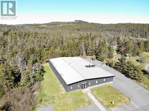 7-9 Roddick Crescent, Harbour Grace, NL 