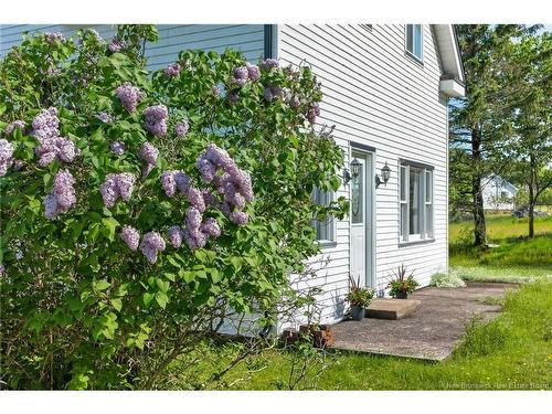 6 Crow Island Rd, Chance Harbour, NB 