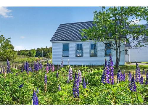 6 Crow Island Rd, Chance Harbour, NB 