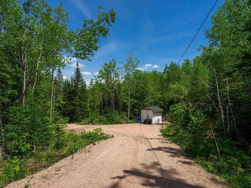 1210 Highway 10, Springfield, NS 