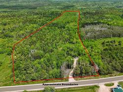 1210 Highway 10  Springfield, NS B0R 1H0