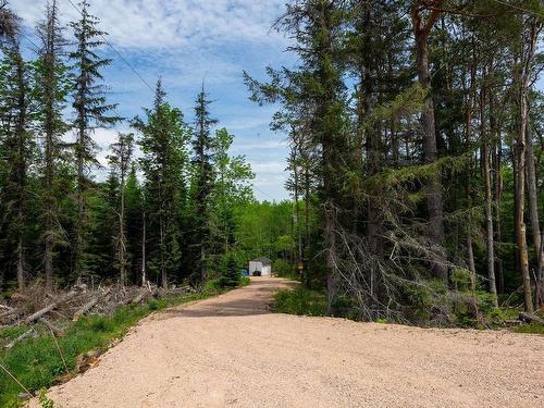1210 Highway 10, Springfield, NS 
