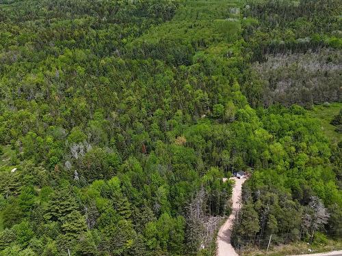 1210 Highway 10, Springfield, NS 