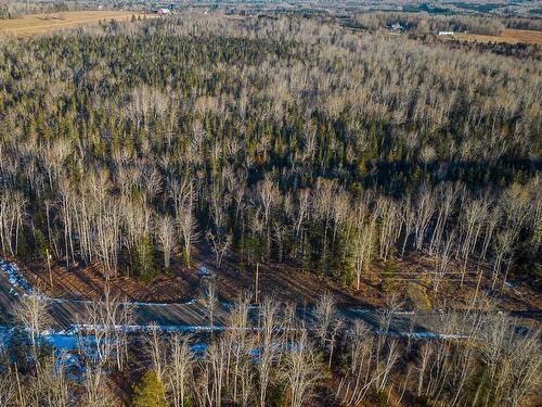 Cove Road, Oxford, NS 