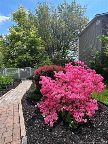 515 Avant Garde, Dieppe, NB 