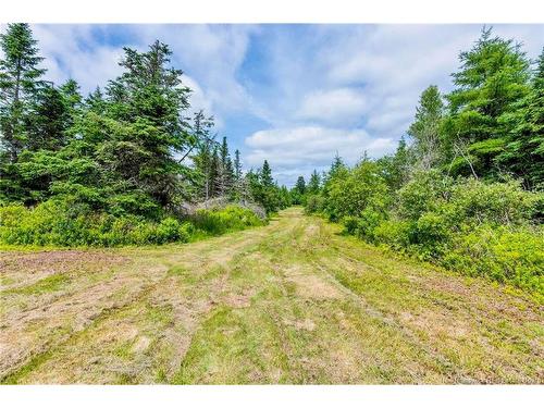 2041 Route 960, Upper Cape, NB 