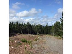 118B MAIN Road Bellevue, NL A0B 1B0