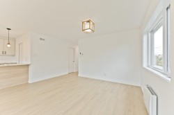 Salon - 