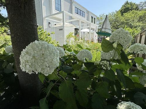 6968 Chebucto Road, Halifax, NS - Outdoor
