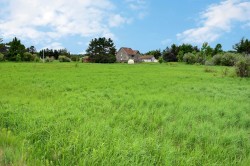 Lot - 