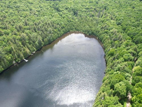 Vue d'ensemble - 3494 Ch. Du Lac-De-L'Abies, Labelle, QC 