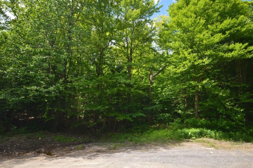 Terre/Terrain - 3494 Ch. Du Lac-De-L'Abies, Labelle, QC 