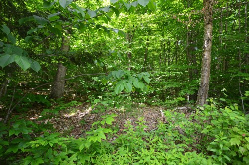 Terre/Terrain - 3494 Ch. Du Lac-De-L'Abies, Labelle, QC 