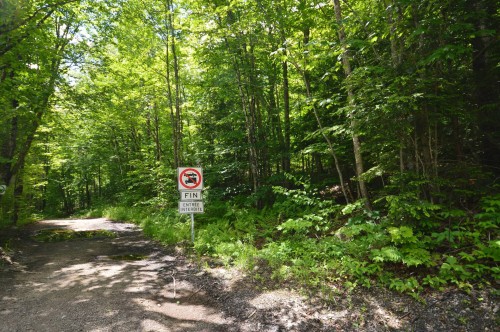Terre/Terrain - 3494 Ch. Du Lac-De-L'Abies, Labelle, QC 