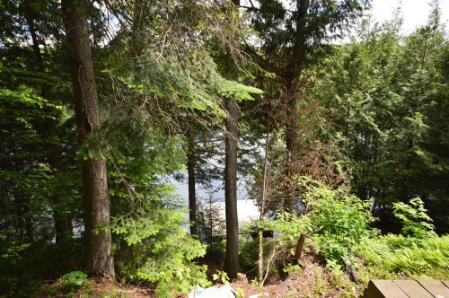 Vue sur l'eau - 3494 Ch. Du Lac-De-L'Abies, Labelle, QC 