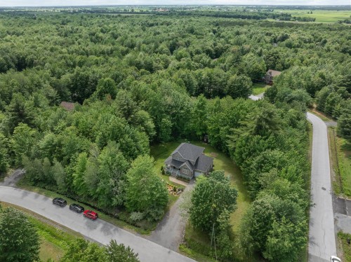 Photo aérienne - 165 Rue Pierre, Sainte-Sabine, QC - Outdoor With View