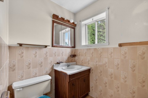 Salle de bains - 26 Rue Des Loisirs, Brébeuf, QC - Indoor Photo Showing Bathroom