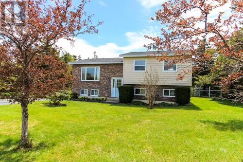 47 Quigley's Lane  Torbay, NL A1K 1A5