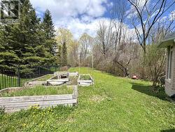 Backyard - 