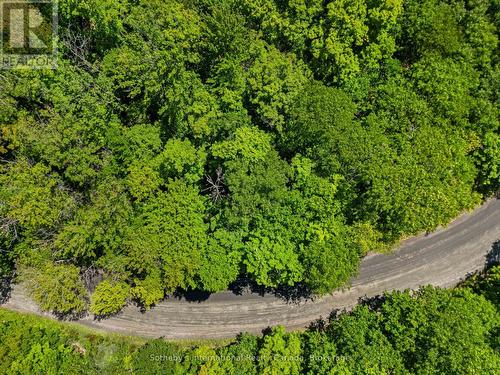 43 Burnside Bridge Road, Mcdougall, ON 