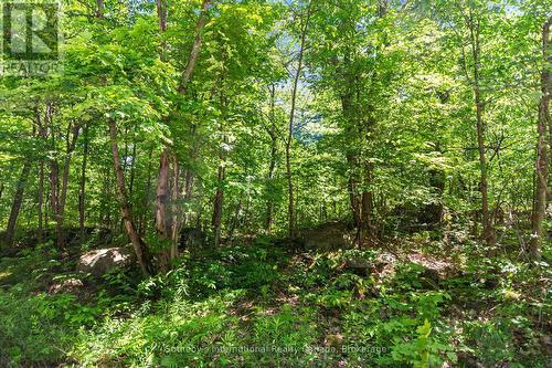 43 Burnside Bridge Road, Mcdougall, ON 