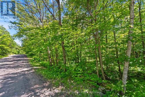 43 Burnside Bridge Road, Mcdougall, ON 
