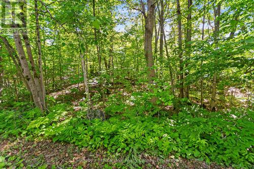 43 Burnside Bridge Road, Mcdougall, ON 